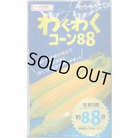 [とうもろこし]　わくわくコーン88　2000粒　カネコ種苗（株）