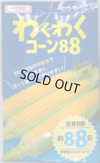 [とうもろこし]　わくわくコーン88　2000粒　カネコ種苗（株）