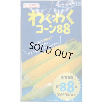 画像1: [とうもろこし]　わくわくコーン88　2000粒　カネコ種苗（株）