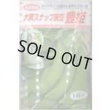 送料無料　[豆類]　大莢豌豆　豊姫　1dl　松永種苗(株)
