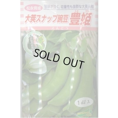 画像1: 送料無料　[豆類]　大莢豌豆　豊姫　1dl　松永種苗(株)