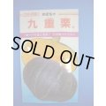 送料無料　[かぼちゃ]　九重栗　10粒　カネコ種苗（株）