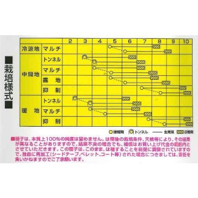 画像2: [とうもろこし]　わくわくコーン88　2000粒　カネコ交配