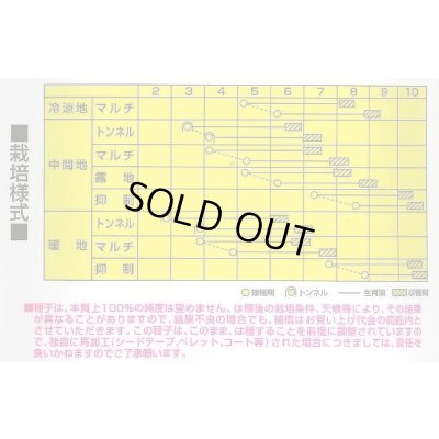 画像2: [とうもろこし]　わくわくコーン88　2000粒　カネコ種苗（株）