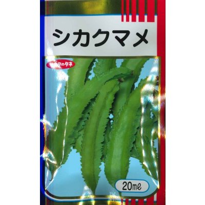 画像1: 送料無料 [豆類] シカクマメ 20ml (株)サカタのタネ