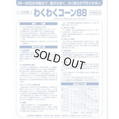 画像4: [とうもろこし]　わくわくコーン88　2000粒　カネコ種苗（株）