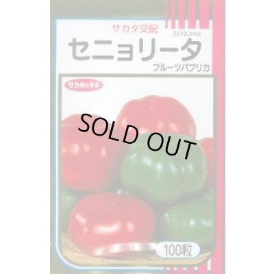 画像1: 送料無料　[ピーマン]　フルーツパプリカ　セニョリータ　100粒　各色　(株)サカタのタネ