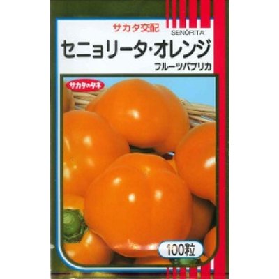 画像3: 送料無料 [ピーマン] フルーツパプリカ セニョリータ 100粒 各色 (株)サカタのタネ
