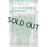 送料無料　[春菊]　摘みとりシュンギク　きわめ中葉春菊　90ml　タキイ種苗　GF