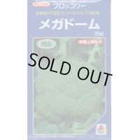 [ブロッコリー]　送料無料！　メガドーム　5000粒　ペレット種子　タキイ種苗（株）