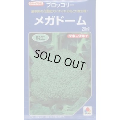画像1: 送料無料　[ブロッコリー]　メガドーム　5000粒　ペレット種子　タキイ種苗(株)