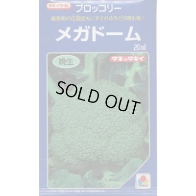 画像1: [ブロッコリー]　送料無料！　メガドーム　5000粒　ペレット種子　タキイ種苗（株）