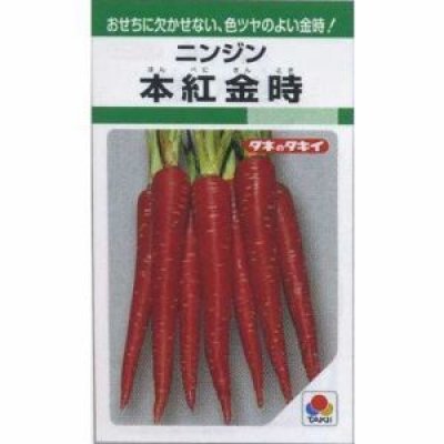 画像2: [シーダー種子]　人参　本紅金時　1粒×6cm間隔