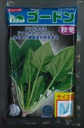 [ほうれんそう]　ゴードン　種子サイズ：M　3万粒　（株）サカタのタネ