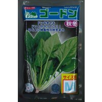 [ほうれんそう]　ゴードン　種子サイズ：M　3万粒　（株）サカタのタネ