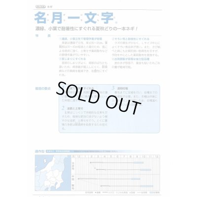 画像3: 送料無料 [ねぎ] 名月一文字 ペレット種子 2L 5000粒 タキイ種苗(株)