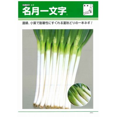 画像2: [ねぎ]　名月一文字　コート種子　2L　5000粒　タキイ種苗（株）