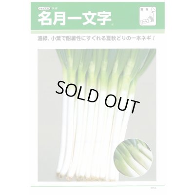 画像2: 送料無料 [ねぎ] 名月一文字 ペレット種子 2L 5000粒 タキイ種苗(株)