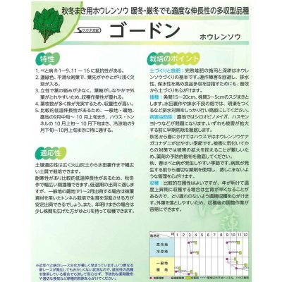 画像3: [ほうれんそう] ゴードン 種子サイズ：M 3万粒 （株）サカタのタネ
