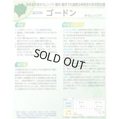 画像3: 送料無料　[ほうれんそう]　ゴードン　100ml　(およそ5500粒)　(株)サカタのタネ　実咲PRO（101532）