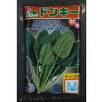 [ほうれんそう]　ドンキー　種子サイズ：M　3万粒　（株）サカタのタネ