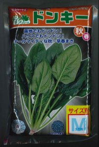 [ほうれんそう]　ドンキー　M　３万粒　　サカタ交配