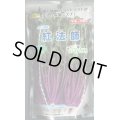 送料無料　[葉物]　水菜　紅法師　2dl　タキイ種苗(株)