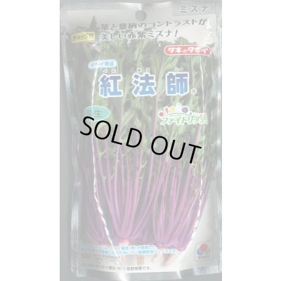 画像1: 送料無料　[葉物]　水菜　紅法師　2dl　タキイ種苗(株)