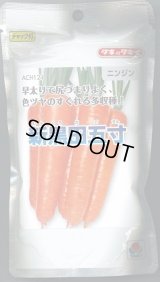 送料無料　[人参]　新黒田五寸　2dl　タキイ種苗