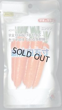 送料無料　[人参]　新黒田五寸　2dl　タキイ種苗
