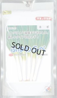 送料無料　[ねぎ]　ふゆわらべ　1dl　タキイ種苗