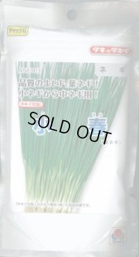 送料無料　[ねぎ]　小春　2dl　タキイ種苗(株)