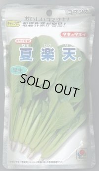 送料無料 [小松菜] 夏楽天 2dl タキイ種苗(株)