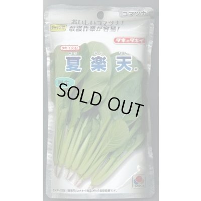 画像1: 送料無料 [小松菜] 夏楽天 2dl タキイ種苗(株)
