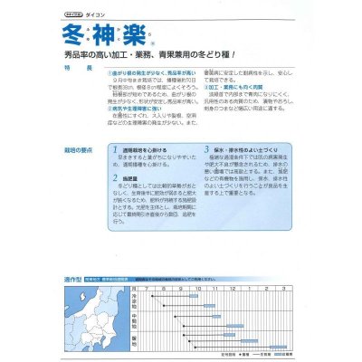 画像3: 送料無料　[大根]　冬神楽　20ml　タキイ種苗(株)
