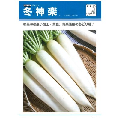 画像2: 送料無料　[大根]　冬神楽　20ml　タキイ種苗(株)