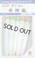送料無料　[大根]　冬神楽　7ml　タキイ種苗(株)　DF