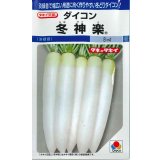 送料無料　[大根]　冬神楽　7ml　タキイ種苗(株)　DF