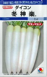送料無料　[大根]　冬神楽　7ml　タキイ種苗(株)　DF