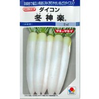 送料無料　[大根]　冬神楽　7ml　タキイ種苗(株)　DF