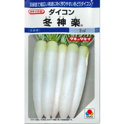 画像1: 送料無料　[大根]　冬神楽　7ml　タキイ種苗(株)　DF