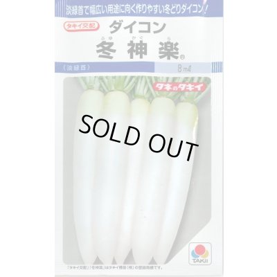 画像1: 送料無料　[大根]　冬神楽　7ml　タキイ種苗(株)　DF