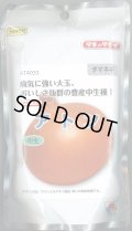 送料無料　[たまねぎ]　アトン　2dl　タキイ種苗(株)