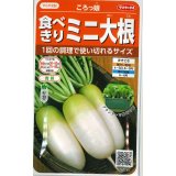 送料無料　[大根]　ミニダイコン　ころっ娘　約150粒　(株)サカタのタネ　実咲450（003073）