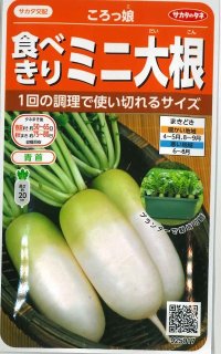 [大根]　ミニダイコン　ころっ娘　約150粒　サカタ交配　　実咲