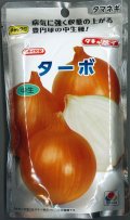 送料無料　[たまねぎ]　ターボ　2dl　タキイ種苗(株)