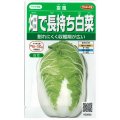 送料無料　[白菜]　富風　1.9ml　　(株)サカタのタネ　実咲450（002934）