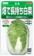 送料無料　[白菜]　富風　1.9ml　　(株)サカタのタネ　実咲450（002934）