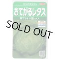 送料無料　[レタス]　キングクラウン　約550粒　(株)サカタのタネ　実咲350（003025）
