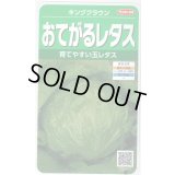 送料無料　[レタス]　キングクラウン　約550粒　(株)サカタのタネ　実咲350（003025）